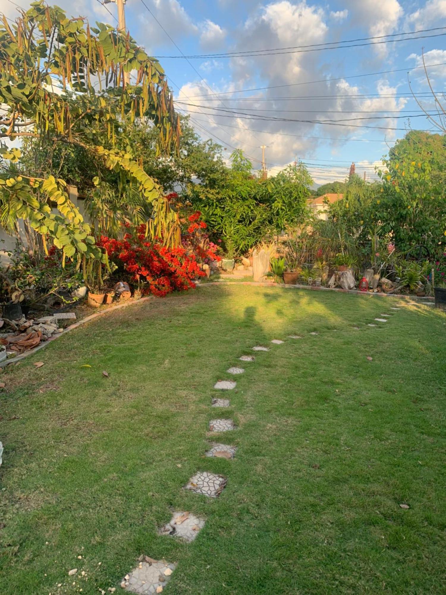 Apartamento Hidden Gem Kingston Exterior foto